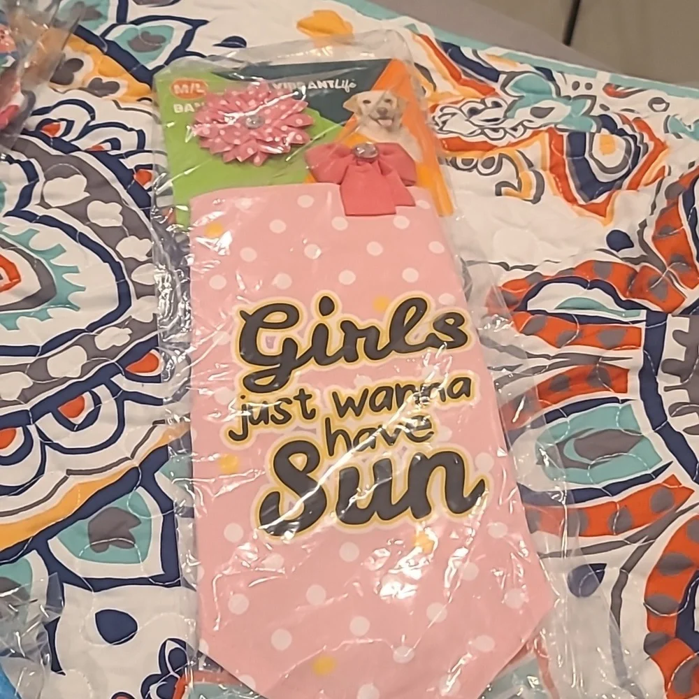❤️10/$13 New girls just wanna have fun dog bandana and clips